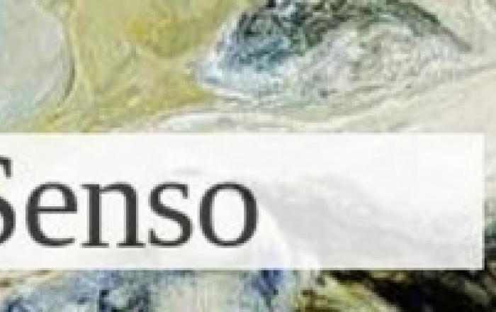 testo-e-senso